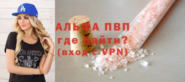 индика Володарск