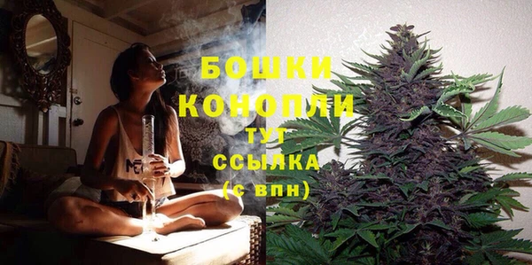 прущие крисы Волосово