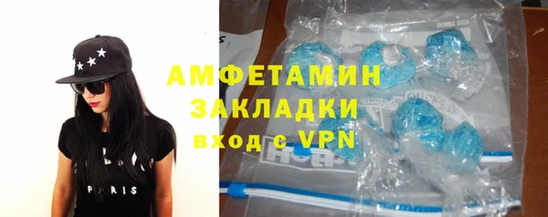 индика Володарск