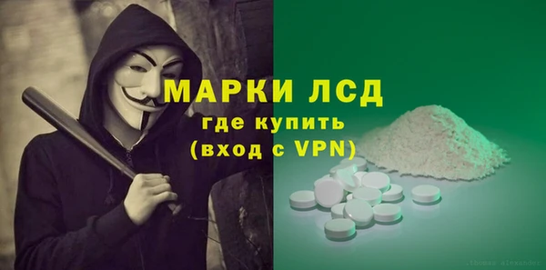 индика Володарск