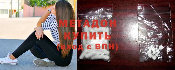 индика Володарск