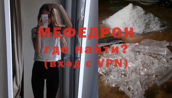 индика Володарск