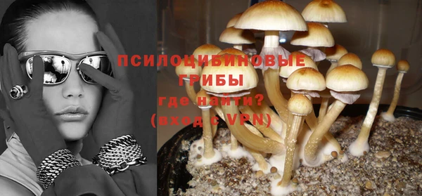 хмурый Верея
