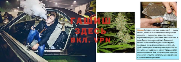 индика Володарск