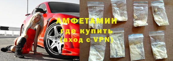 индика Володарск