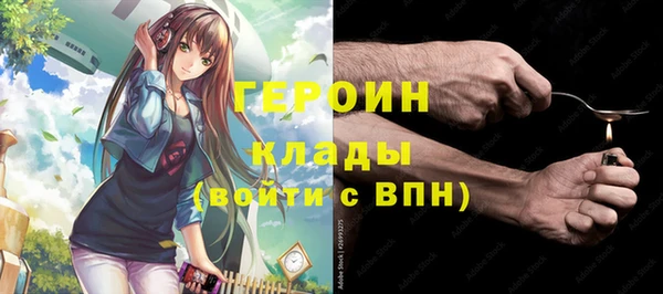 индика Володарск