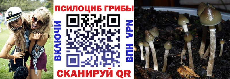 Псилоцибиновые грибы Magic Shrooms  наркотики  Волхов 